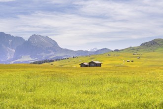 Wide green meadow with wooden huts and mountain scenery under a slightly cloudy sky, Alpe di Siusi,