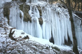 Tourist attraction, icicles in the Eistobel near Isny/Maierhöfen, Allgäu, Bavaria, Germany, Allgäu,