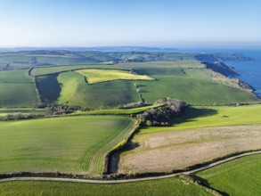 Farms and Fields over Brixham and Kingswear from a drone, Devon, England, United Kingdom