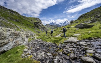 Mountaineers on a hiking trail along a mountain stream in a mountain landscape, descent at Col du