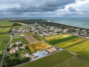 Fields and Grape plantations from a drone, Saint-Clement-des-Baleines, Atlantic, France