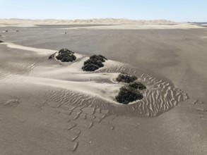 Small sand heaps form around the sparse vegetation in the Namib Desert. Aerial view. Drone shot.