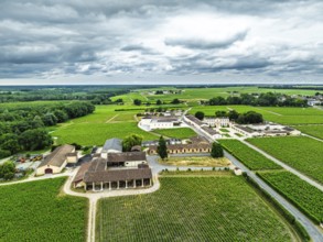 Vineyard of Chateau Branaire-Ducru from a drone, Saint-Julien-Beychevelle, France