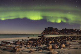 Aurora borealis in green colors over mountain range and coastline at night, Lofoten, Norway