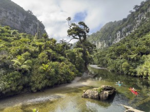 Paddle boats on the Pororari River Track, Paparoa National Park, South Island, New Zealand, Oceania