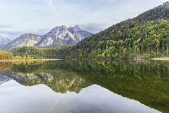 Schwansee, near Hohenschwangau, Romantic Road, behind it the Pilgerschrofen and the Säuling,
