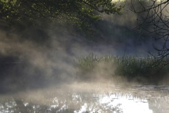 Landscape in May with morning fog, pond, Germany