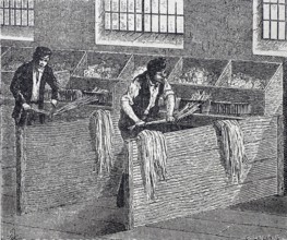 Textile industry, spinning mill, men working on a hand hackle, tool made of wood or metal with