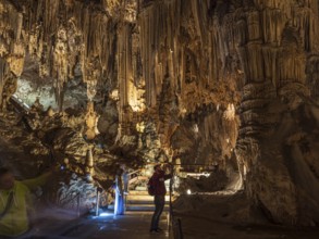 Cueva de Nerja, illuminated cave, large stalagmites and stalagtites, Nerja, Andalusia, Spain
