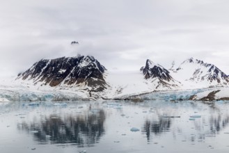 Glacier tongue, mountain peak, sea, Smeerenburgbreen, Spitsbergen, Svalbard