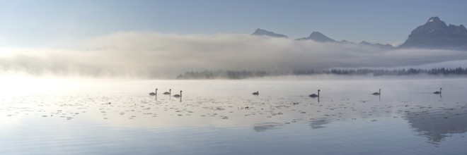 Sunrise at Lake Hopfensee near Füssen, with the Tegelberg massif and the Säuling behind it,