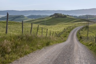 A winding country lane leads through rolling green hills with fences, while the morning mist
