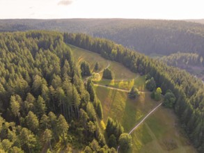 Far-reaching views over wooded areas with gentle valleys and clear paths, Retro Freizeitpark