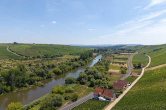 A river flowing through a landscape flanked by vineyards and a road, near Volkach, Mainfranken,