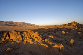 Desert landscape with Brandberg in the morning light, at sunrise, Erongo, Damaraland, Namibia
