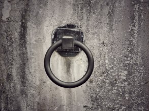 A weathered wall features a rusty metal ring affixed to it, suggesting a historical purpose. The