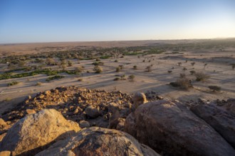 Desert landscape at the Ugab River at sunrise, Erongo, Damaraland, Namibia
