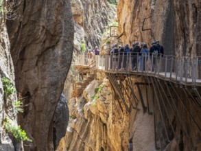 Tourists on the elevated path of the caminito del rey, along a deep gorge, Andalusia, Spain