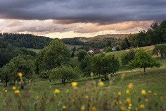 The village of Lampenhain in the Odenwald, landscape with trees, meadows, forest and hills. Sunset.