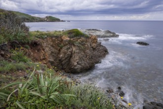 Coast near Port de Centuri, Cap Corse, Haute-Corse, Corsica, France