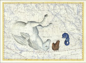 Zodiac sign, constellation, Pegasus, dolphin, star chart, universe, astrology, horoscope, after