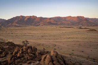 Desert landscape with Brandberg at sunrise, Erongo, Damaraland, Namibia