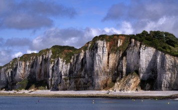 Cliff, cliffs, coastal landscape, rock formation, Yport, chalk cliffs, alabaster coast, La Côte