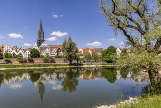 City view of Ulm with the Danube. Ulm Minster, Metzgerturm and old town. Ulm, Baden-Württemberg,