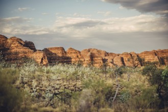 Bungle Bungle Range, Outback, hiking in Australia in high heat, Western Australia, Australia