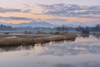 Nature reserve Stille Reuss, behind the Rigi, Rottenschwil, Reusstal, Freiamt, Canton Aargau,