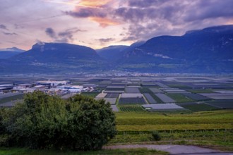 Sunrise over the Adige Valley, near Tramin an der Weinstraße, Unteretsch, South Tyrol, Italy