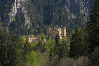 Hohenschwangau Castle is hidden in a dense mountain forest beneath dramatic towering cliffs,