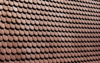 Red shingle roof, house roof, detail, Steyr, Upper Austria, Austria