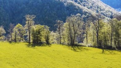 Backlit landscape near Gutenberg. Mountains and forest on the Albtrauf of the Swabian Alb in spring