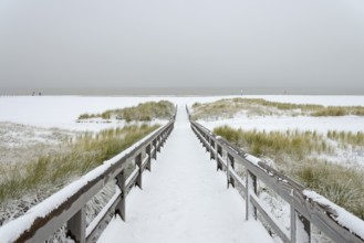 Winter day, onset of winter, wooden plank path leads through the snow-covered dune landscape to the