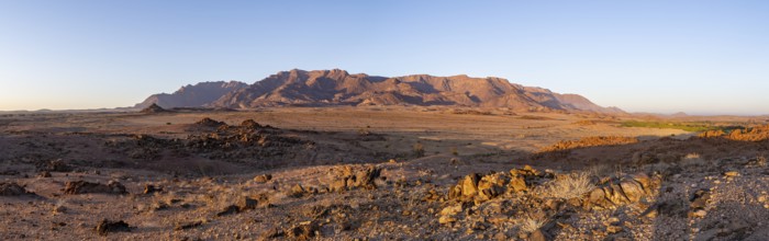 Desert landscape with Brandberg in the morning light, at sunrise, Erongo, Damaraland, Namibia