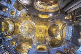 Wide angle view of the magnificent golden mosaics covering the ceiling of saint mark's basilica, a