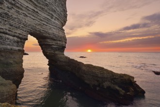 Cliffs with the Porte d'Amont rock gate, Etretat, Alabaster Coast, Seine-Maritime, Normandy, France