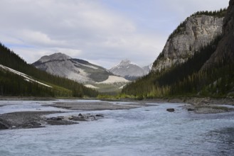 Alexandra River, Icefields Parkway, Banff National Park, Alberta, Canada