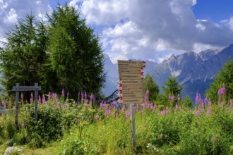 Signpost on the Helm, Sesto, Dolomites, Val Pusteria, South Tyrol, Italy