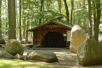 Erratic blocks and hut in the Neuenknick erratic block forest in the Teutoburg Forest. Around 2000