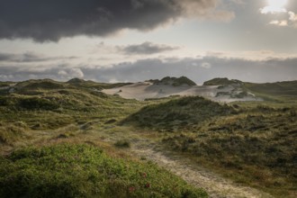 A narrow sandy path leads through a grassy landscape with dunes and dark clouds, near Hvide Sande,