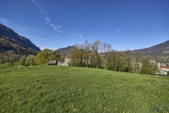 Castle Gruttenstein, mountain landscape, landscape photography, hills, mountains, coniferous
