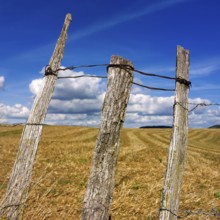 Three weathered wooden posts rise above a golden field, surrounded by a vast landscape and dotted