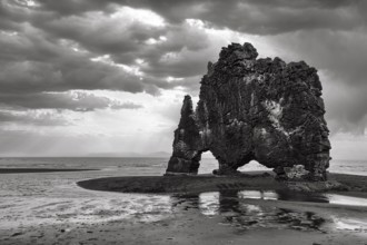 Basalt rock Hvitserkur, famous Elephant Rock on lava beach, coastline, dramatic cloudy sky, rain