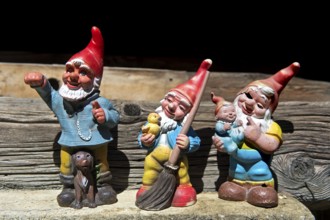 Family of garden gnomes, father, mother, children, Valais, Switzerland