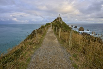 A path leads to a lighthouse on the top of rocky cliffs above the sea, summer, Nugget Point