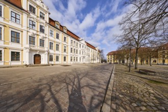 State parliament, historical buildings, baroque architectural style, bare wintry trees, blue sky,