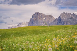 Imposing rocks above a colourful meadow in front of a cloudy sky, Alpe di Siusi, Dolomites, South