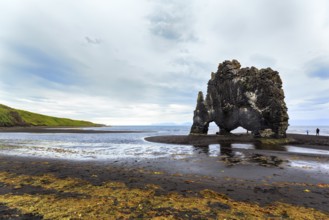 Tourists at the basalt rock Hvitserkur, famous Elephant Rock on the lava beach, coastline, Vatnsnes